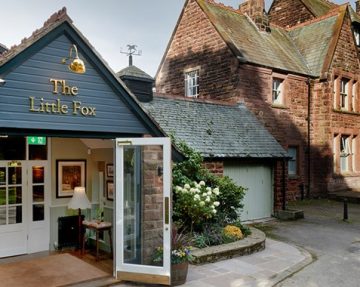 The Little Fox
